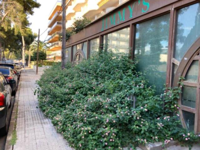 Local, Salou
