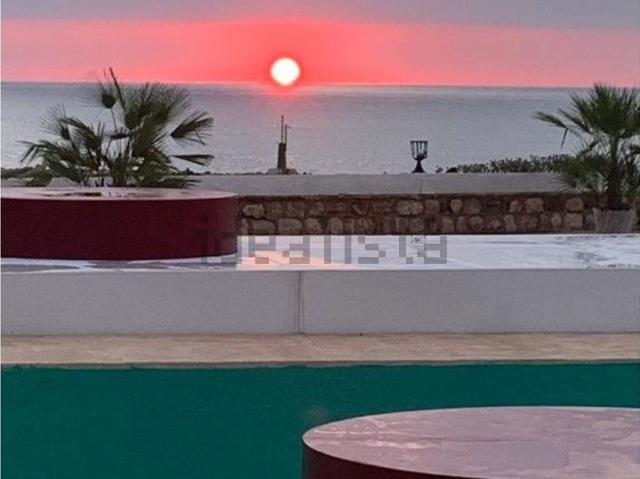 Local, Salou