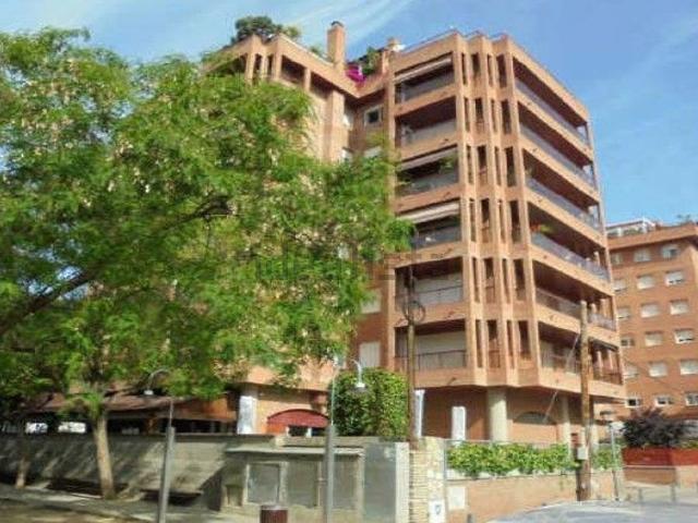 Local, Salou
