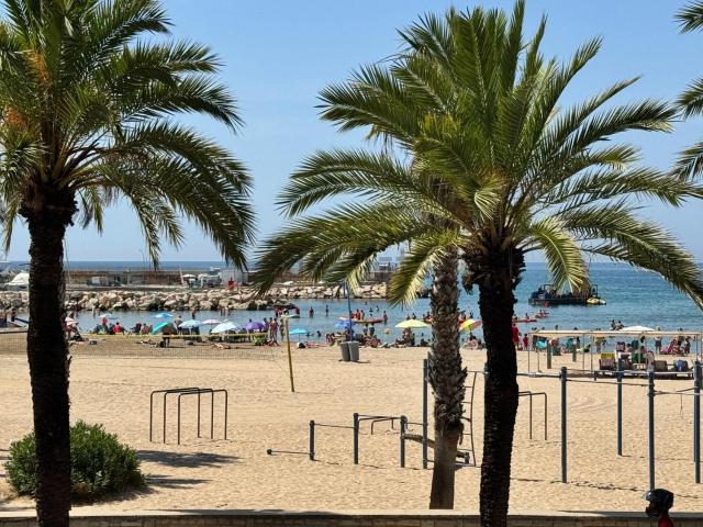 Local, Salou