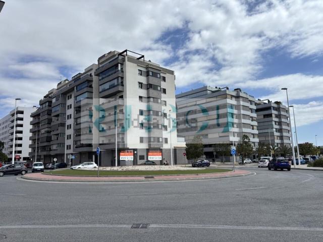 Local, Sector V El Canal, Elche / Elx