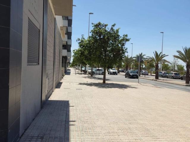 Local, Sector V El Canal, Elche / Elx