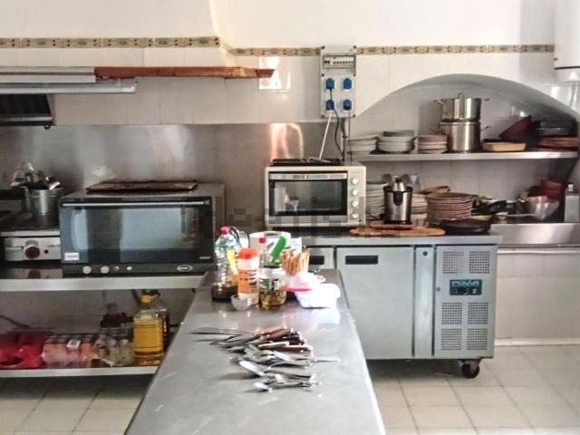 Local, Selva