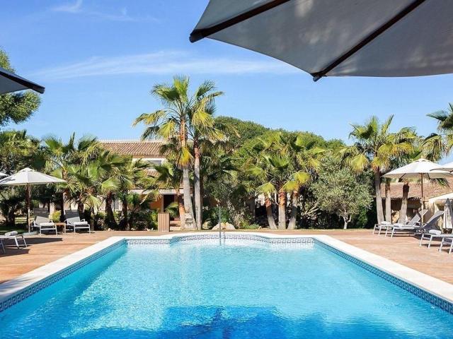 Local, Ses Salines Mallorca