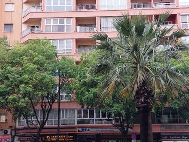 Local, Sindicat, Palma de Mallorca