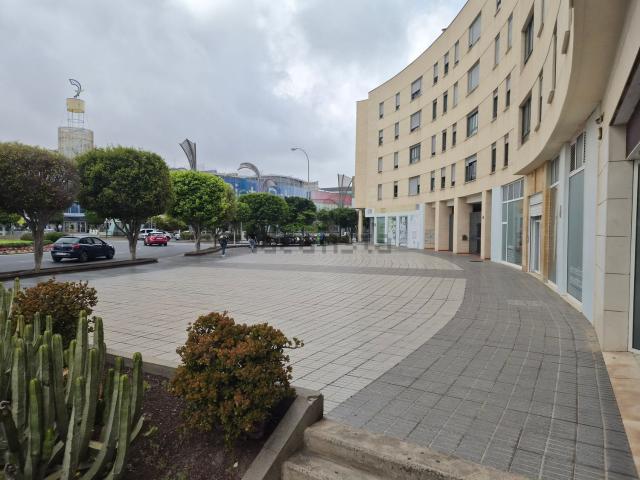 Local, Siete Palmas, Las Palmas de Gran Canaria