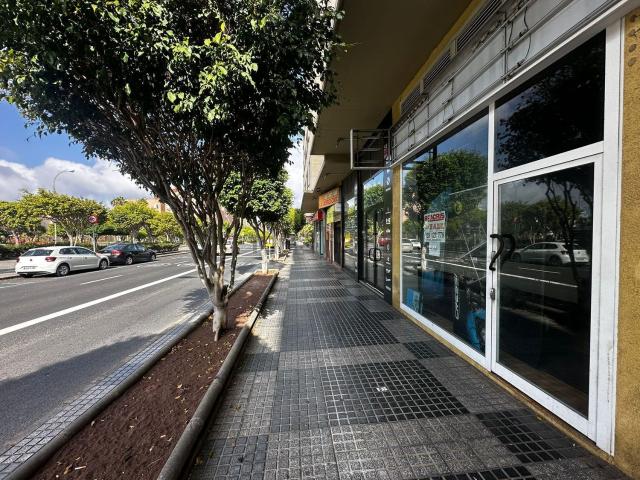 Local, Siete Palmas, Las Palmas de Gran Canaria