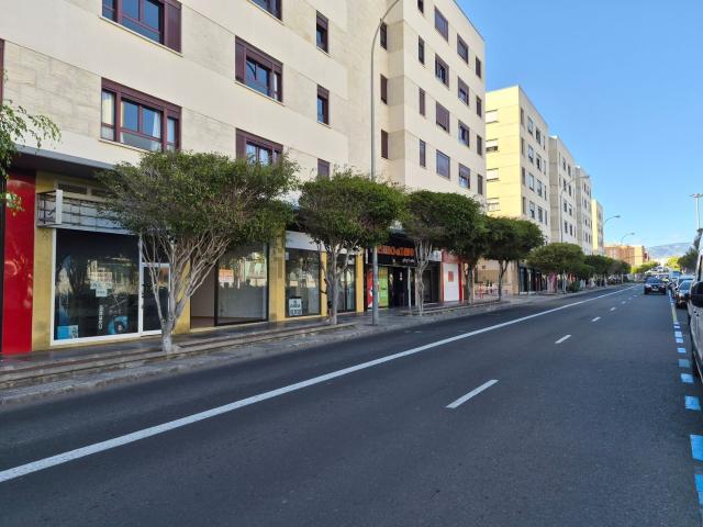 Local, Siete Palmas, Las Palmas de Gran Canaria