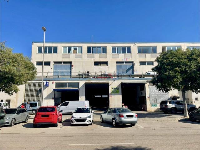 Local, Son Ferriol, Palma de Mallorca