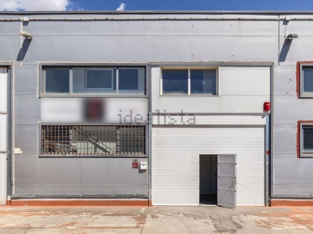 Local, Son Ferriol, Palma de Mallorca