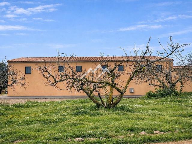 Local, Rafal Nou Estadi Balear Son Malferit, Palma de Mallorca