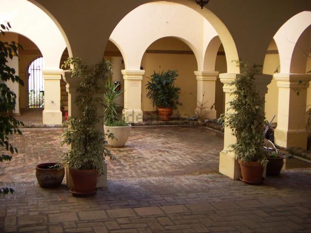 Local, Sotogrande