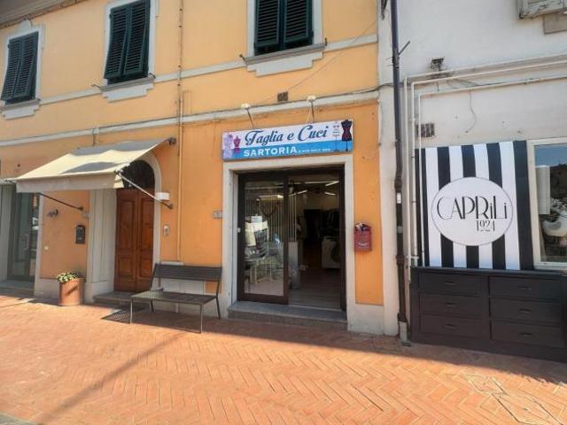 Locale comm.le/Fondo in affitto a Bientina 32 mq Rif: 1412410