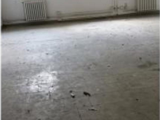 Locale comm.le/Fondo in affitto a Empoli 210 mq Rif: 1013114