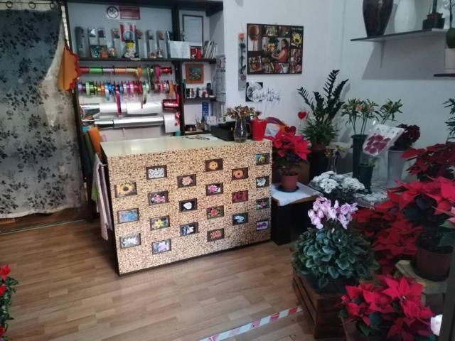 Locale commerciale in affitto a Genova