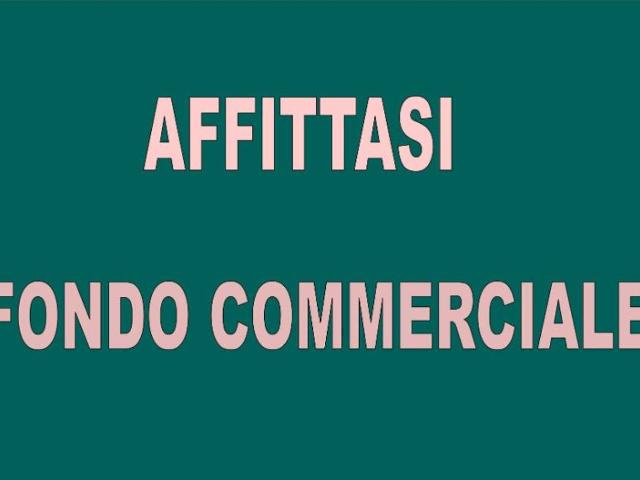 Locale commerciale in affitto a Pisa