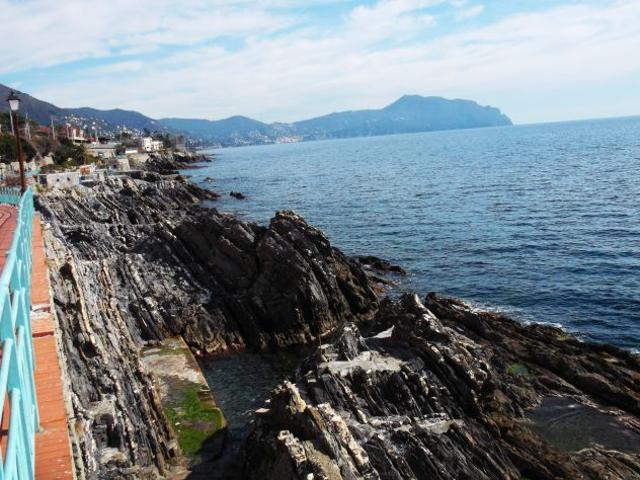 Locale commerciale Nervi