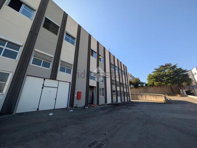 Locale in affitto di 500 m² in Via Armando Veneziani, 6