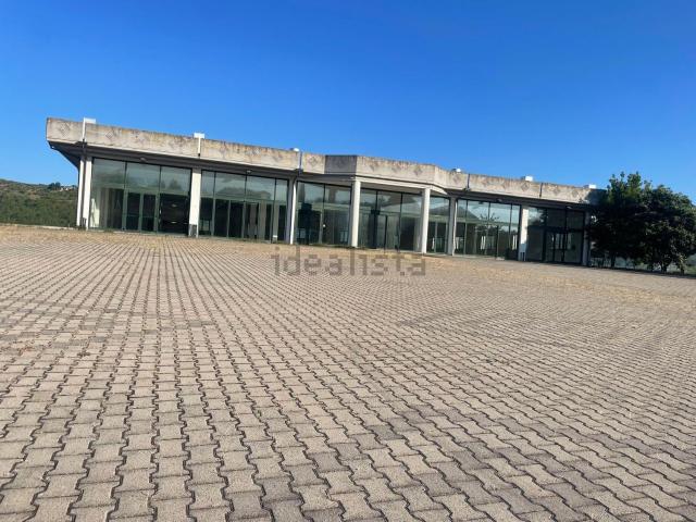 Locale in affitto di 515 m² in Viale Italia