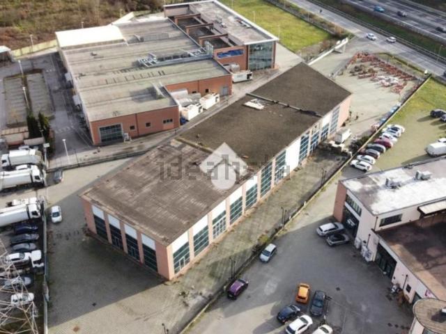 Locale in affitto di 550 m² in Strada Lungarno