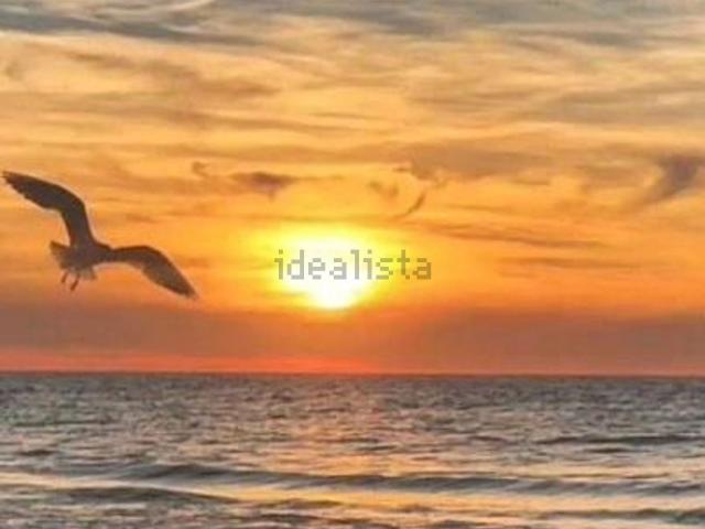 Locale in affitto di 717 m² in Lungomare di Levante