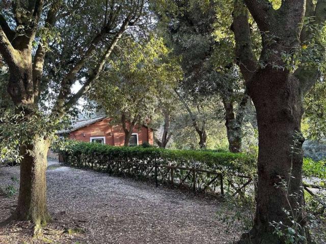 Locale in affitto di 85 m² in Via di Torrimpietra