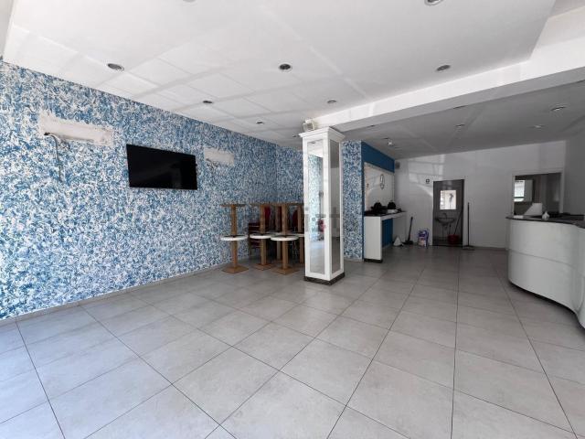 Locale in affitto di 91 m² in Viale Ludovico Ariosto
