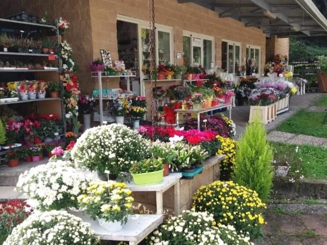 Locale in affitto di 120 m² in Via Madonna del Piano