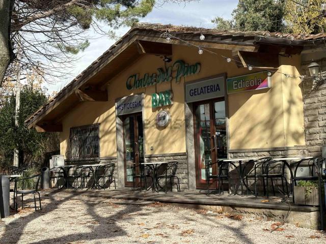 Locale in affitto di 200 m² in Viale Ernesto Monaci, 10