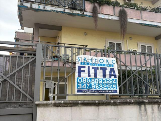 Locale in affitto di 221 m² in Via Francesco Rubini Patriota, 7