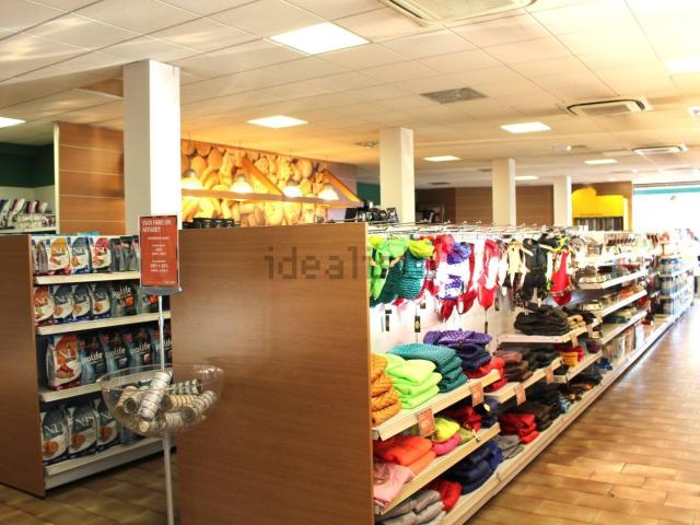 Locale in affitto di 240 m² in Via Legnago