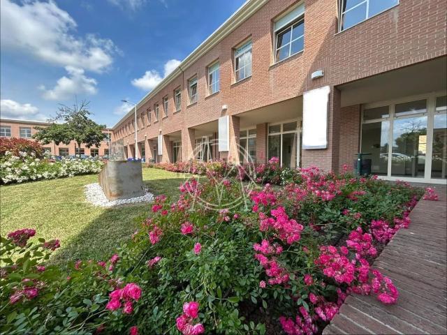 Locale in affitto di 350 m² in Piazza Meuccio Ruini