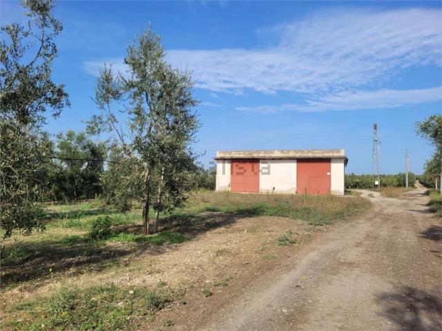Locale in vendita di 40000 m² in Strada Provinciale 231