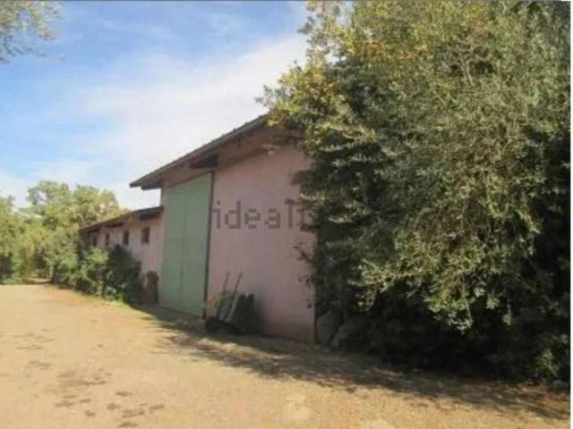 Locale in vendita di 4134 m² in Località Mandra Edera