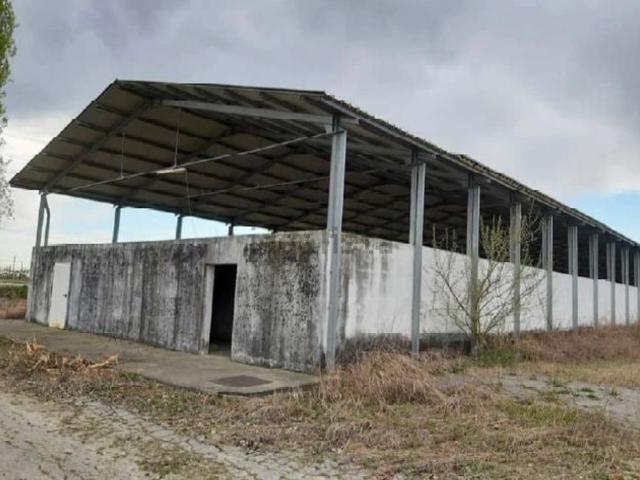 Locale in vendita di 42909 m² in Via Levada