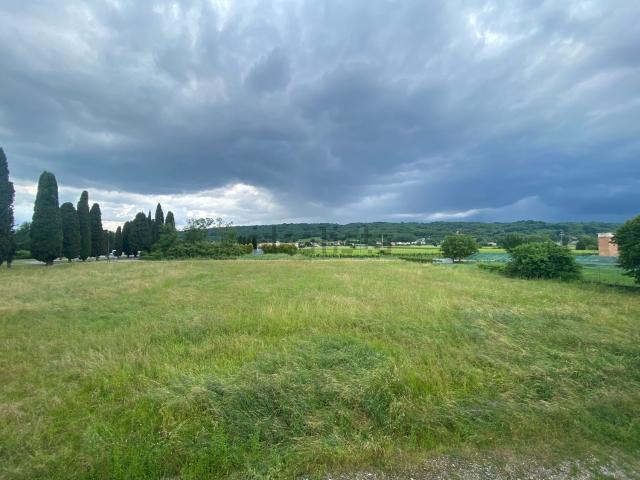 Locale in vendita di 473 m² in Via Schiavonesca Nuova