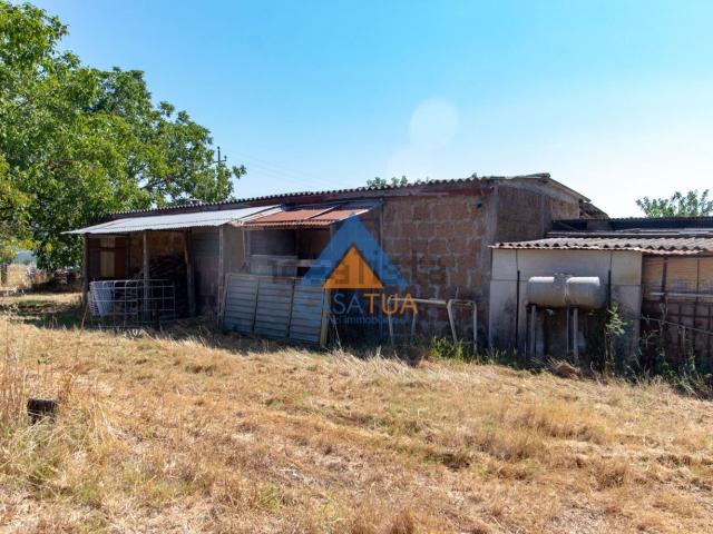 Locale in vendita di 50 m² in Località Pisciarello