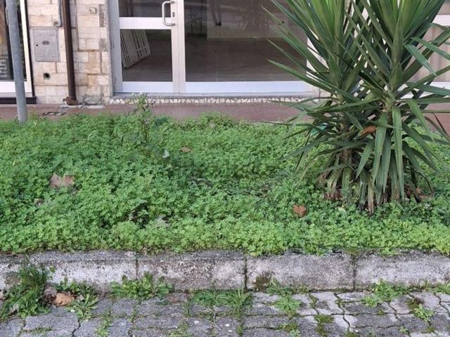Locale in vendita di 50 m² in Via P. Longo