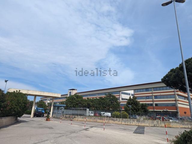 Locale in vendita di 550 m² in Via Marino Turchi, 10