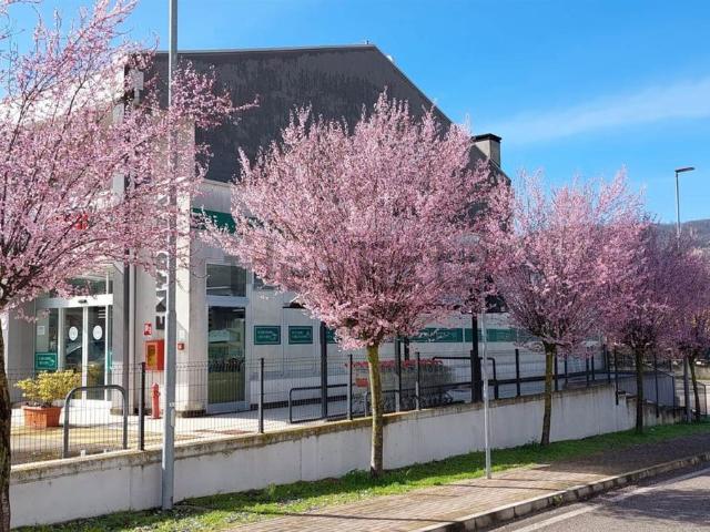 Locale in vendita di 600 m²