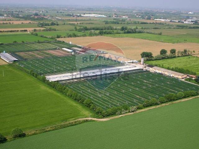 Locale in vendita di 700 m² in Via San Zeno, 47