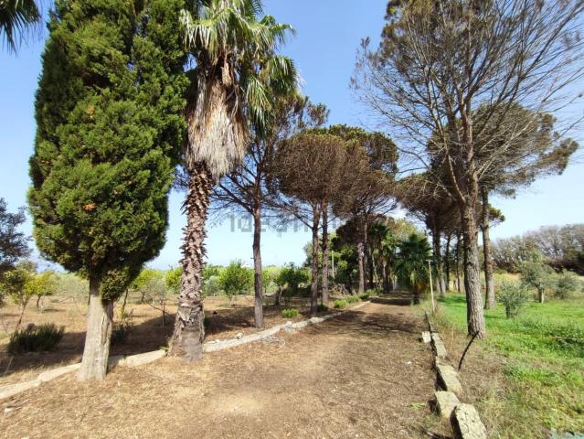 Locale in vendita di 100000 m² in Strada vicinale Rao Castellana Trappeto Rossi