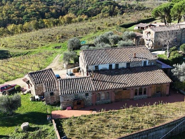 Locale in vendita di 1540 m² in Località Selvole