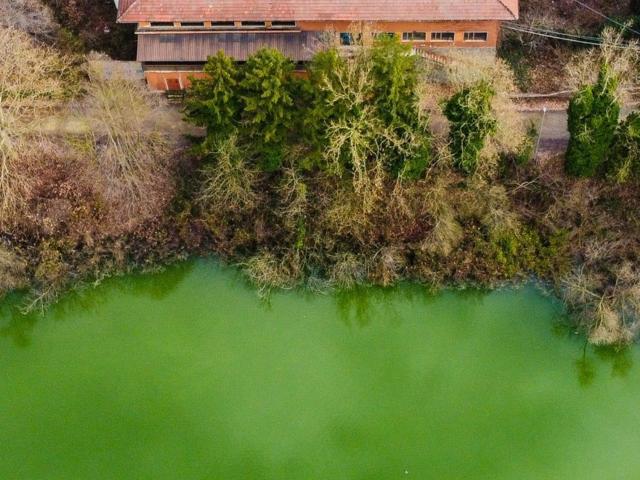 Locale in vendita di 1700 m²