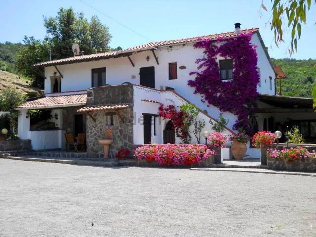 Locale in vendita di 223 m²