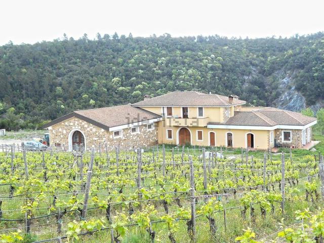Locale in vendita di 1210 m² in Strada di Montepescini