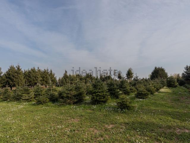 Locale in vendita di 28450 m² in Via Lumignacco, 7