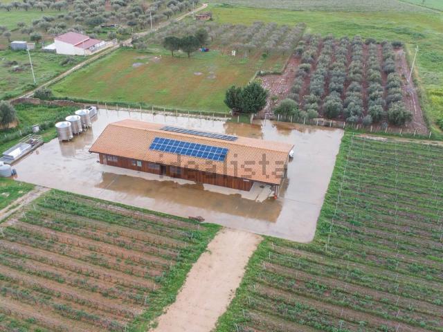 Locale in vendita di 319000 m²