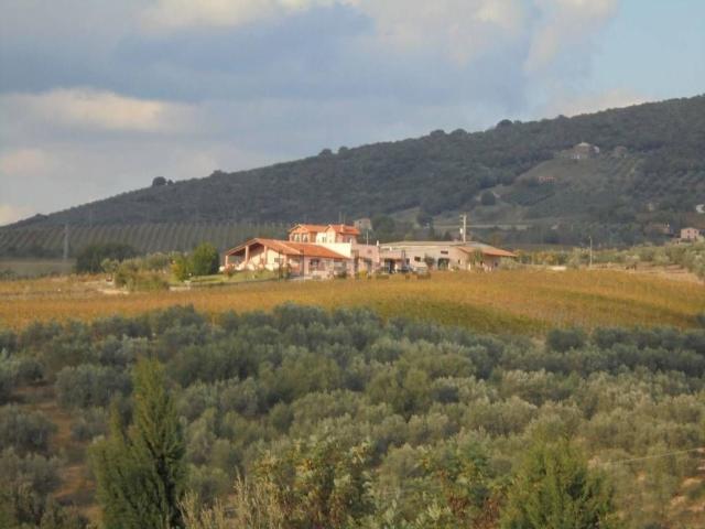 Locale in vendita di 350 m²