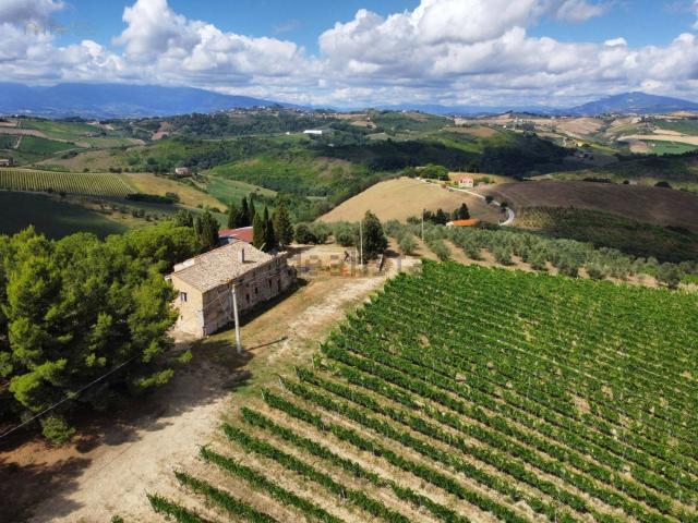 Locale in vendita di 360 m² in Contrada Forola, 15